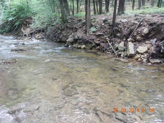 fowlers hollow.Laural run 06-09-14 063.jpg -                                